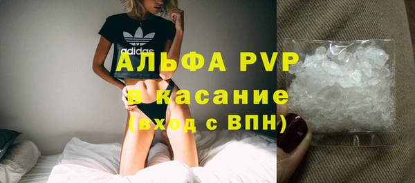 PSILOCYBIN Белокуриха