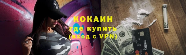 крисы Баксан