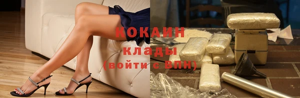 крисы Баксан