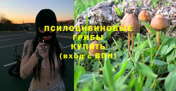 крисы Баксан