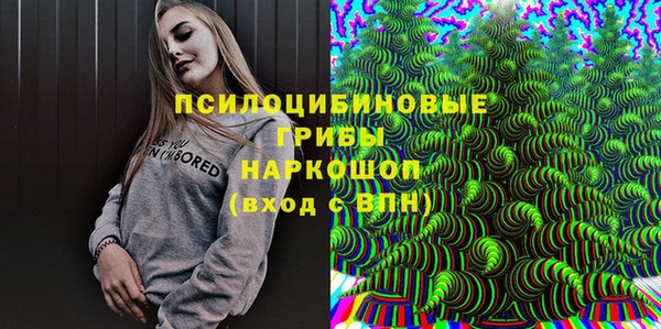 PSILOCYBIN Белокуриха