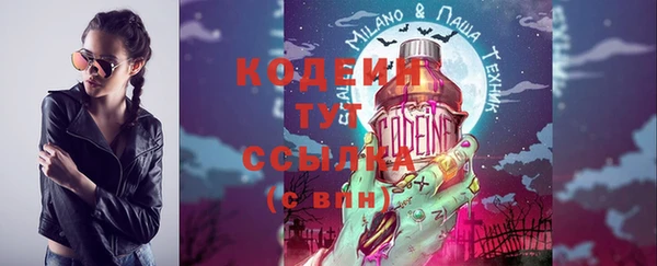 индика Сатка